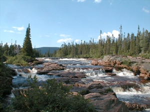 Overfall on White Bear River